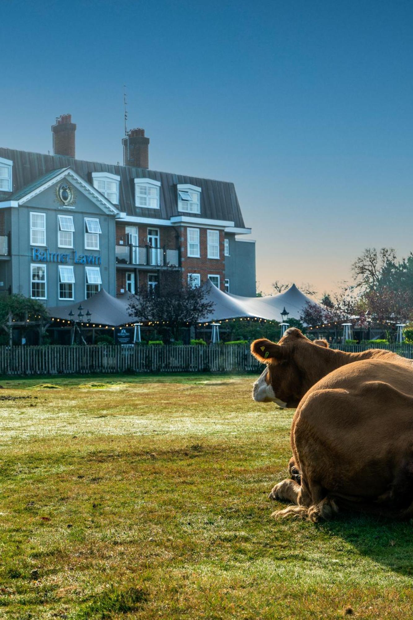 Balmer Lawn Брокенхёрст Экстерьер фото